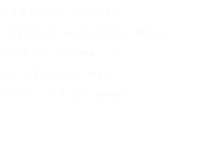 Pal langs de bosrand, in het buitengebied van Mander, staat voor natuur- en rustliefhebbers onze dubbele vakantiewoning. 