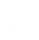 ‘s Avonds is het hier zo rustig en donker, geweldig!